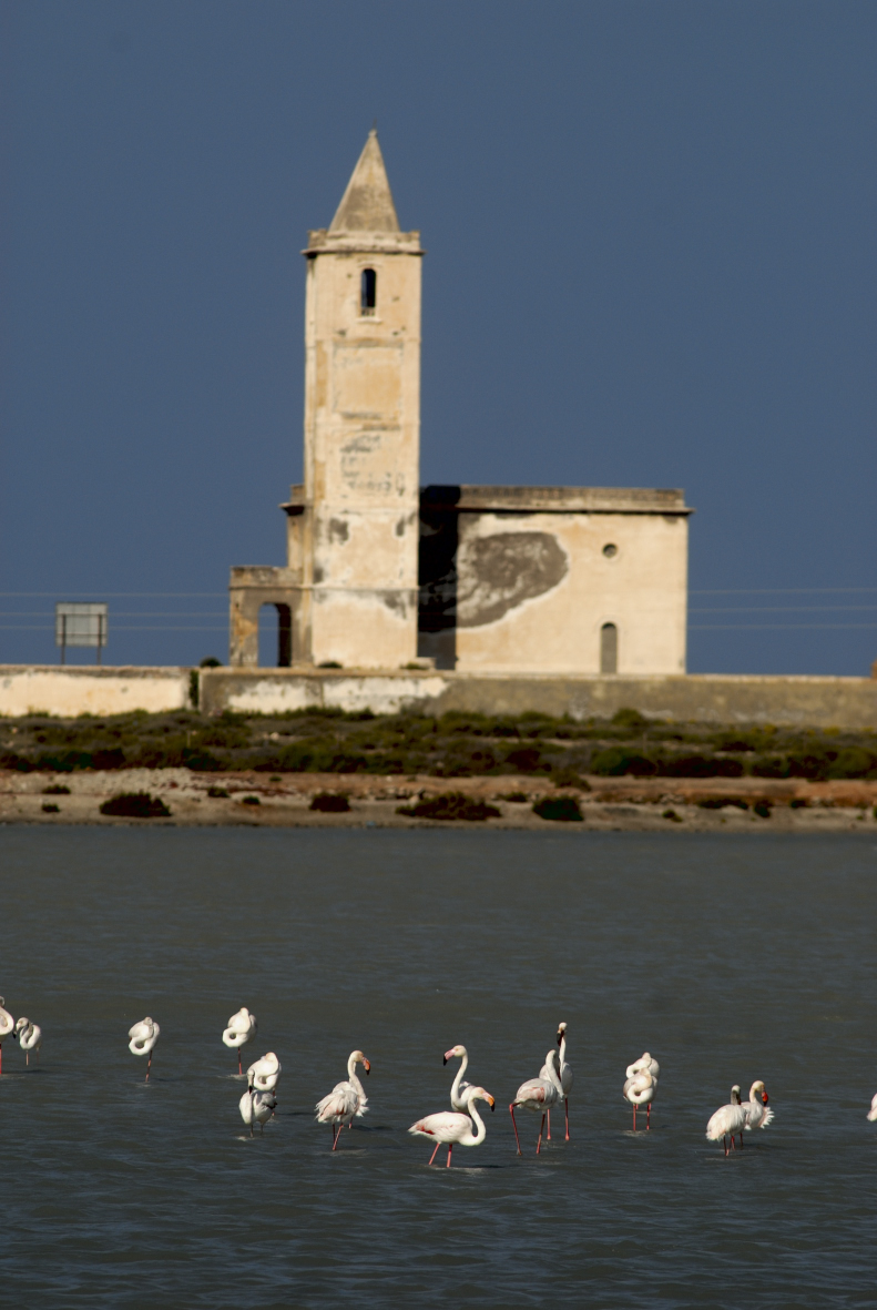 El IEA en el Dia Mundial de los Humedales • 2 febrero 2026